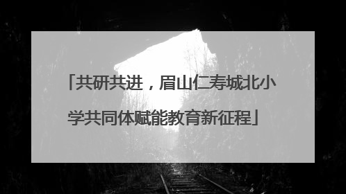 共研共进，眉山仁寿城北小学共同体赋能教育新征程